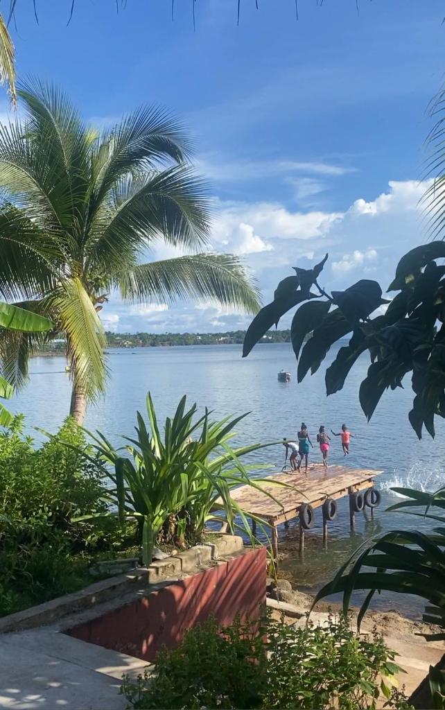 Las Palmeras OceanView Hotel and Dive Center photo 1