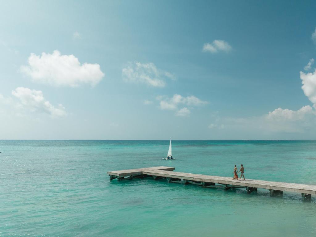 Hyatt Zilara Cap Cana - Adults Only photo 3