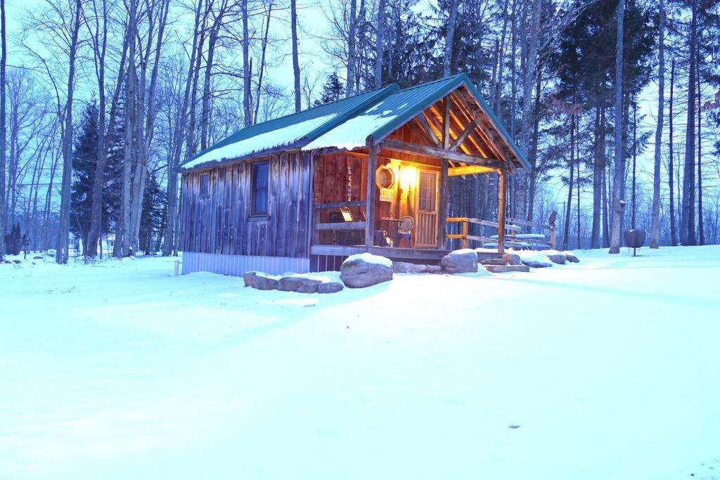Bear Necessities @ Deep Creek Lake photo 3