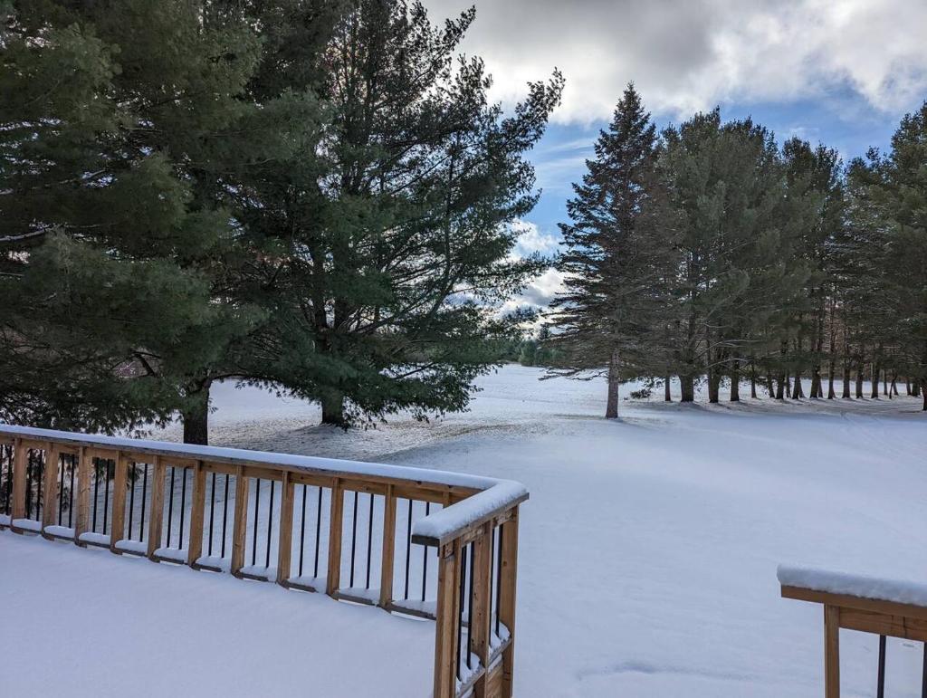 South Bay Runaway Cottage photo 3