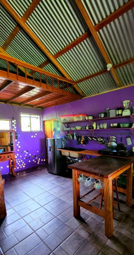 The Bottle House photo 4