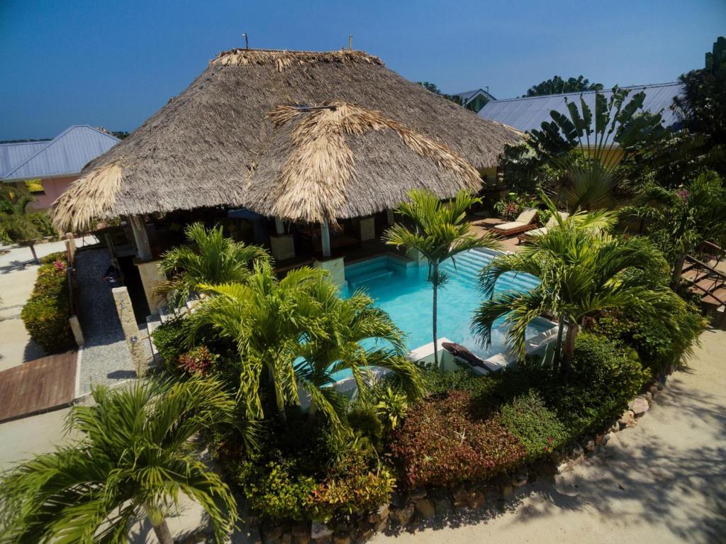 Little Harvest Caye - Your Own Private Island photo 2
