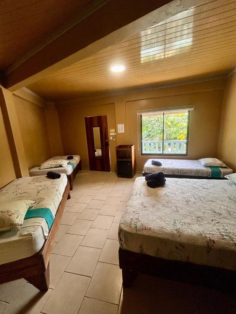 Hotel Ticozuma photo 3