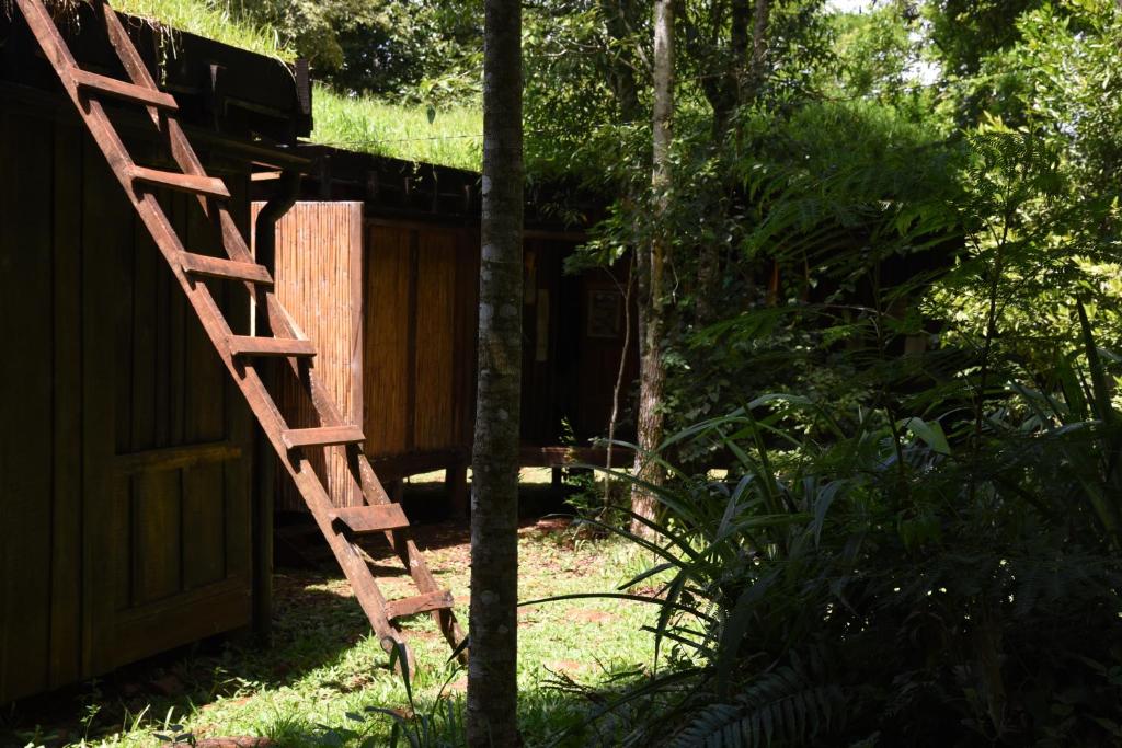 Yerbas del Paraiso photo 1