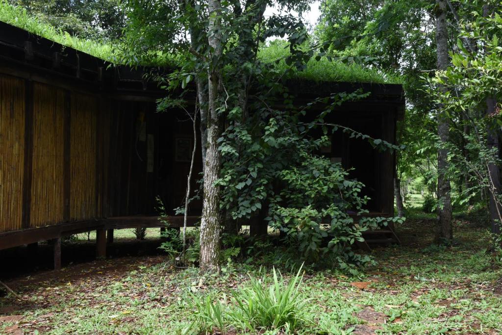 Yerbas del Paraiso photo 3