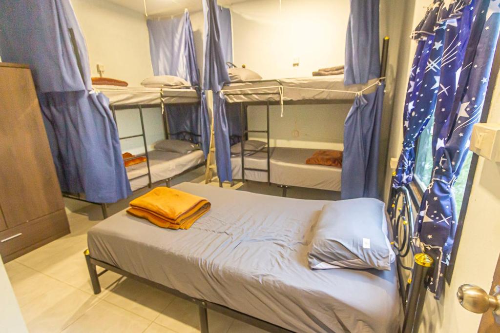 The Travelers Friend En Suite dorm room AC photo 2