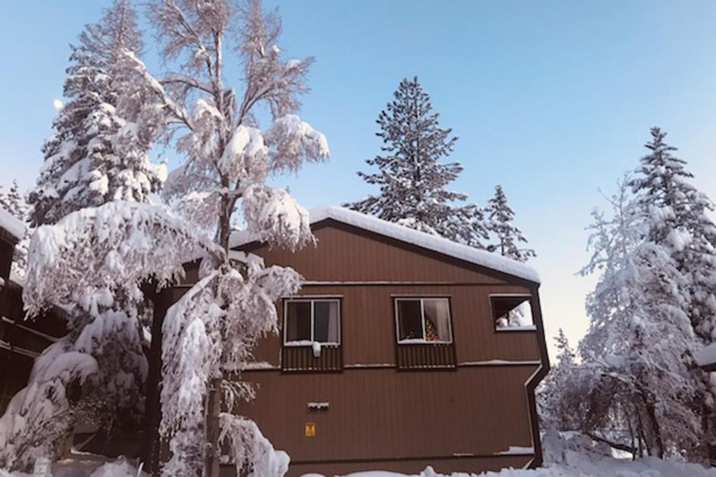 High Sierra Hideaway photo 2