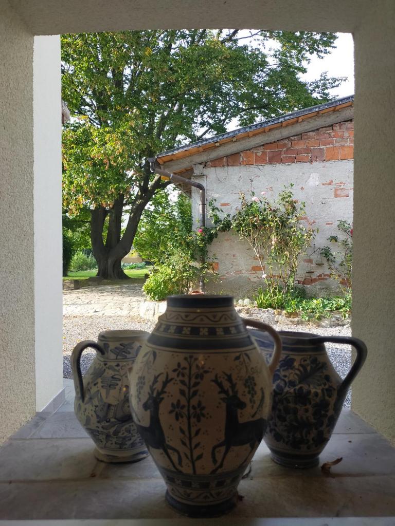 Le camere dell'Albero Bianco con uso cucina photo 1
