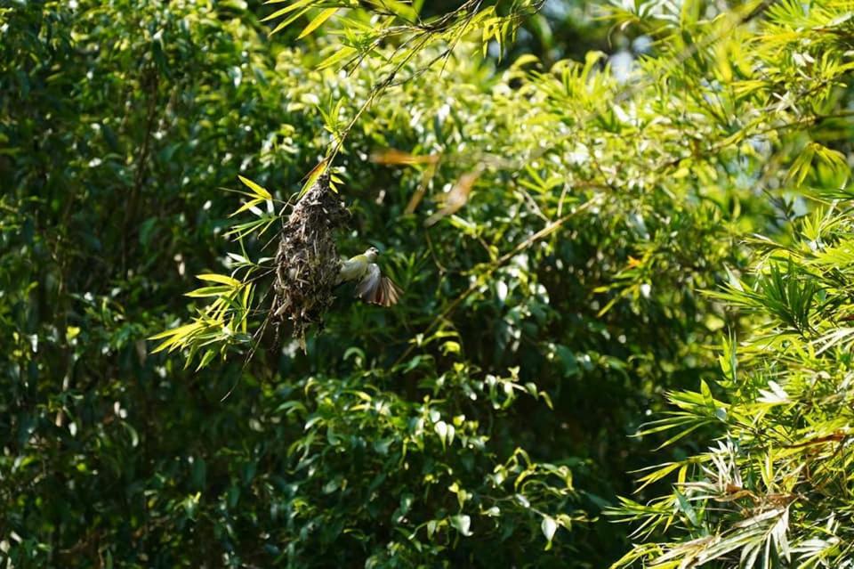Tappers' Village Nature Resort & Retreat Centre, Kiriella photo 2