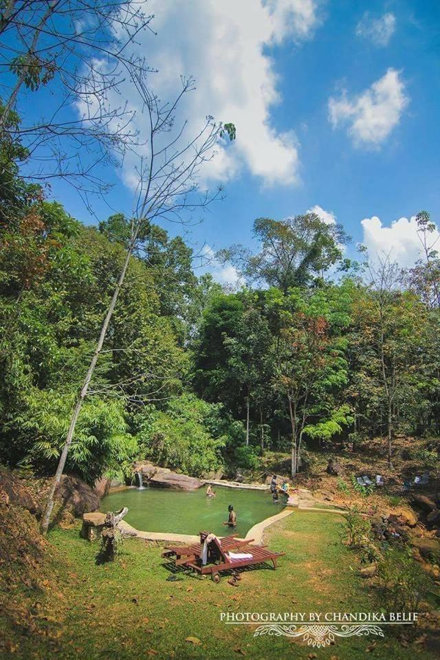 Tappers' Village Nature Resort & Retreat Centre, Kiriella photo 4