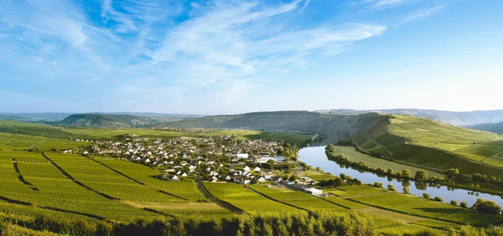 Ferienweingut Ulrike Thul photo 2