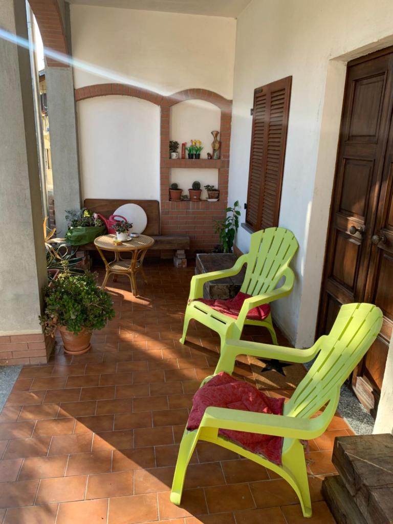 Bouganville photo 3