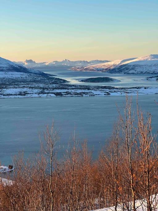 Northern light residence photo 1
