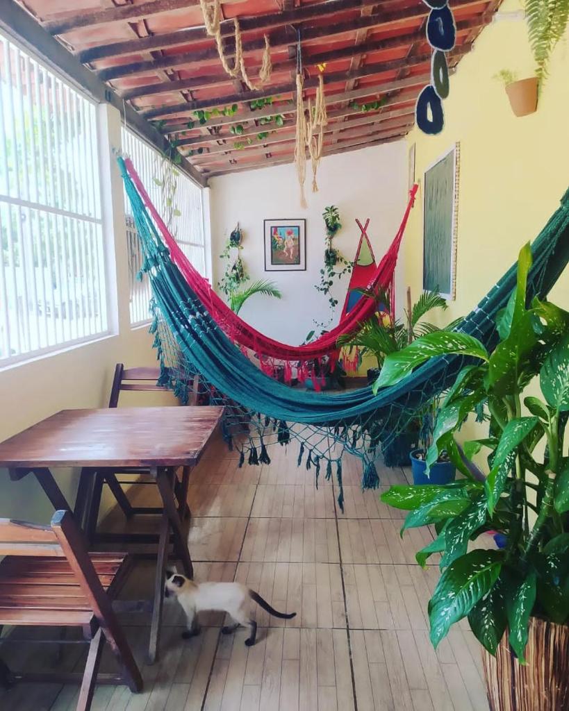 Casa no Preá Ano Novo photo 1