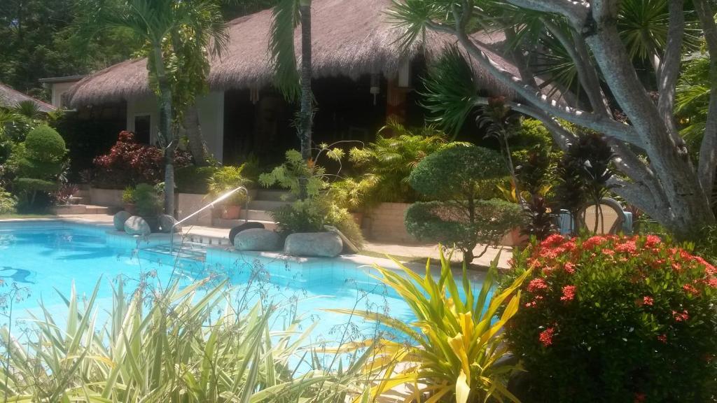 Palmhill Villa photo 1