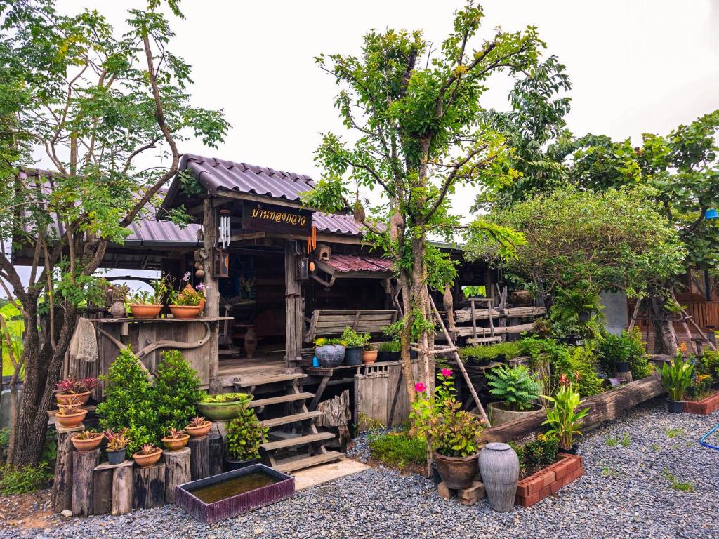 Suk Sabai Homestay