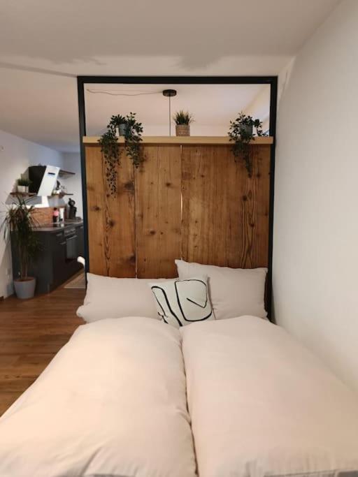 Altholzapartment in Kempten photo 1