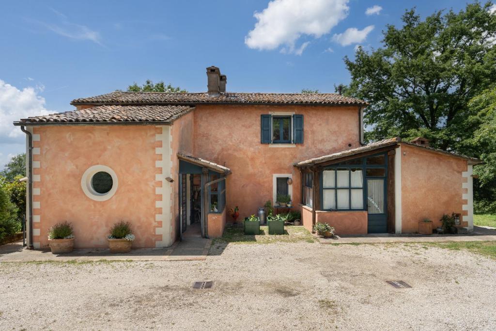 Villavetrichina photo 2