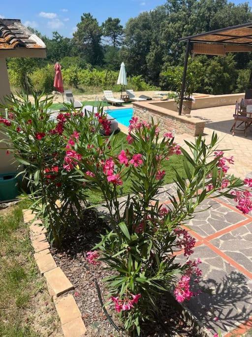 Casa Loumavi photo 3