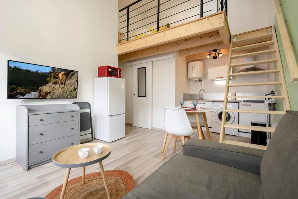 Studio mezzanine "chaumiane" proche de la gare photo 4