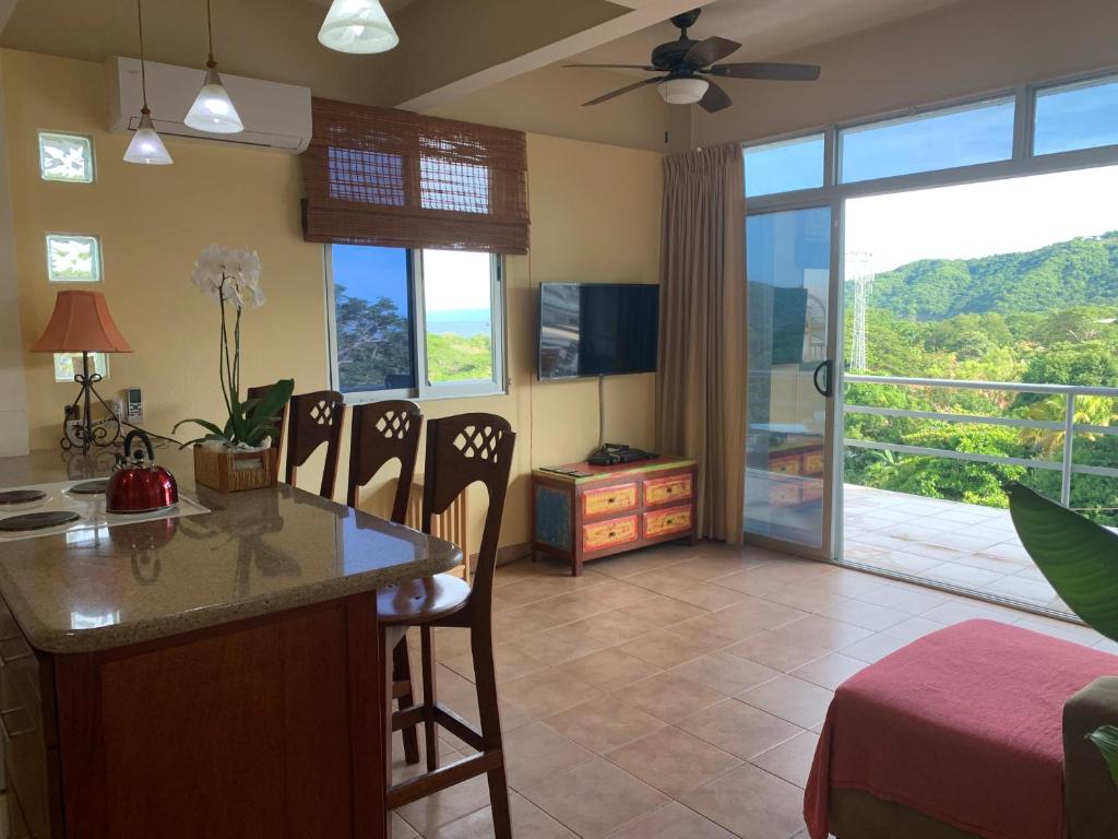 Buena Vista Coco photo 4