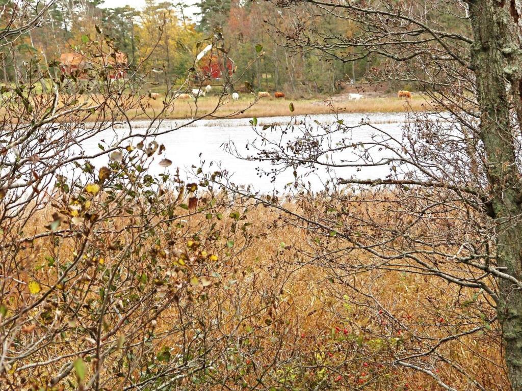 Holiday home LAHOLM IX photo 3