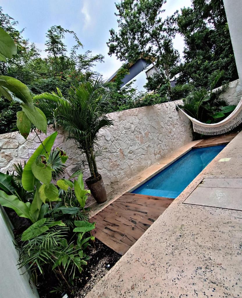 Casa Kaan. photo 3