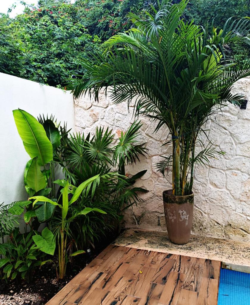 Casa Kaan. photo 2