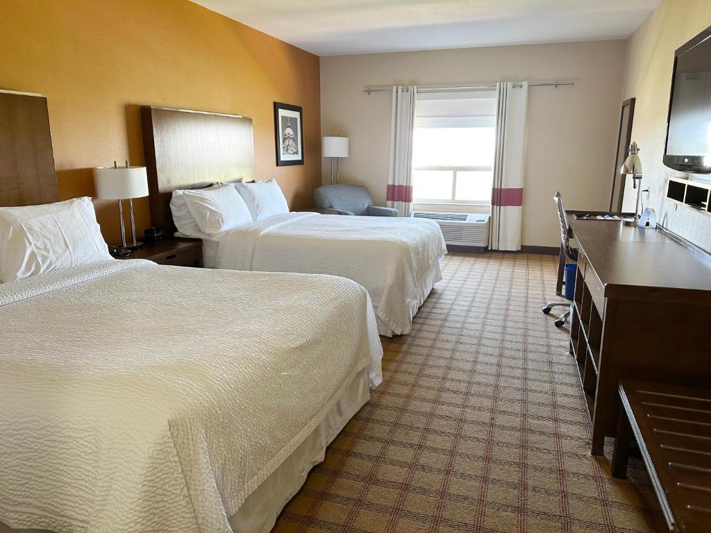 Four Points by Sheraton Edmonton Gateway photo 4