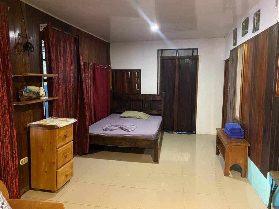 Family-sized Beach Suite in Playa Matapalo photo 4