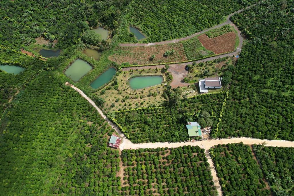 Gao Homestay photo 2