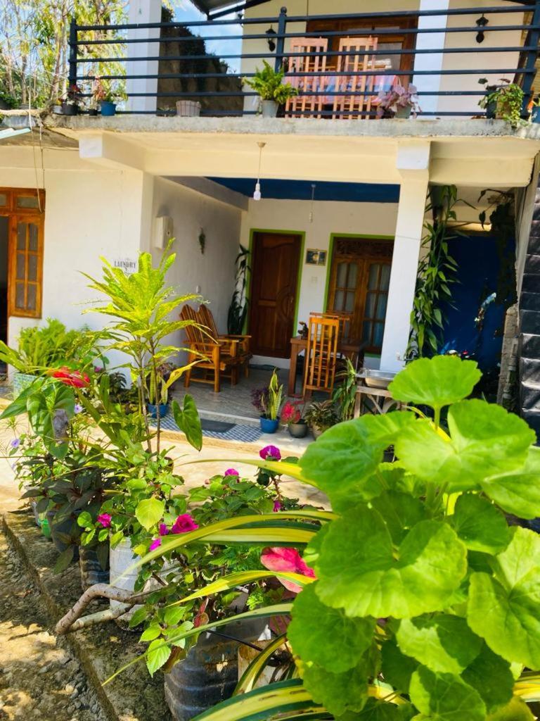 Mellow Homestay photo 3