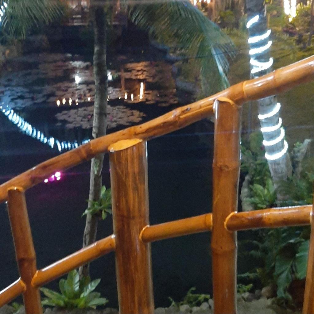 Dumaguete Treehouse photo 4