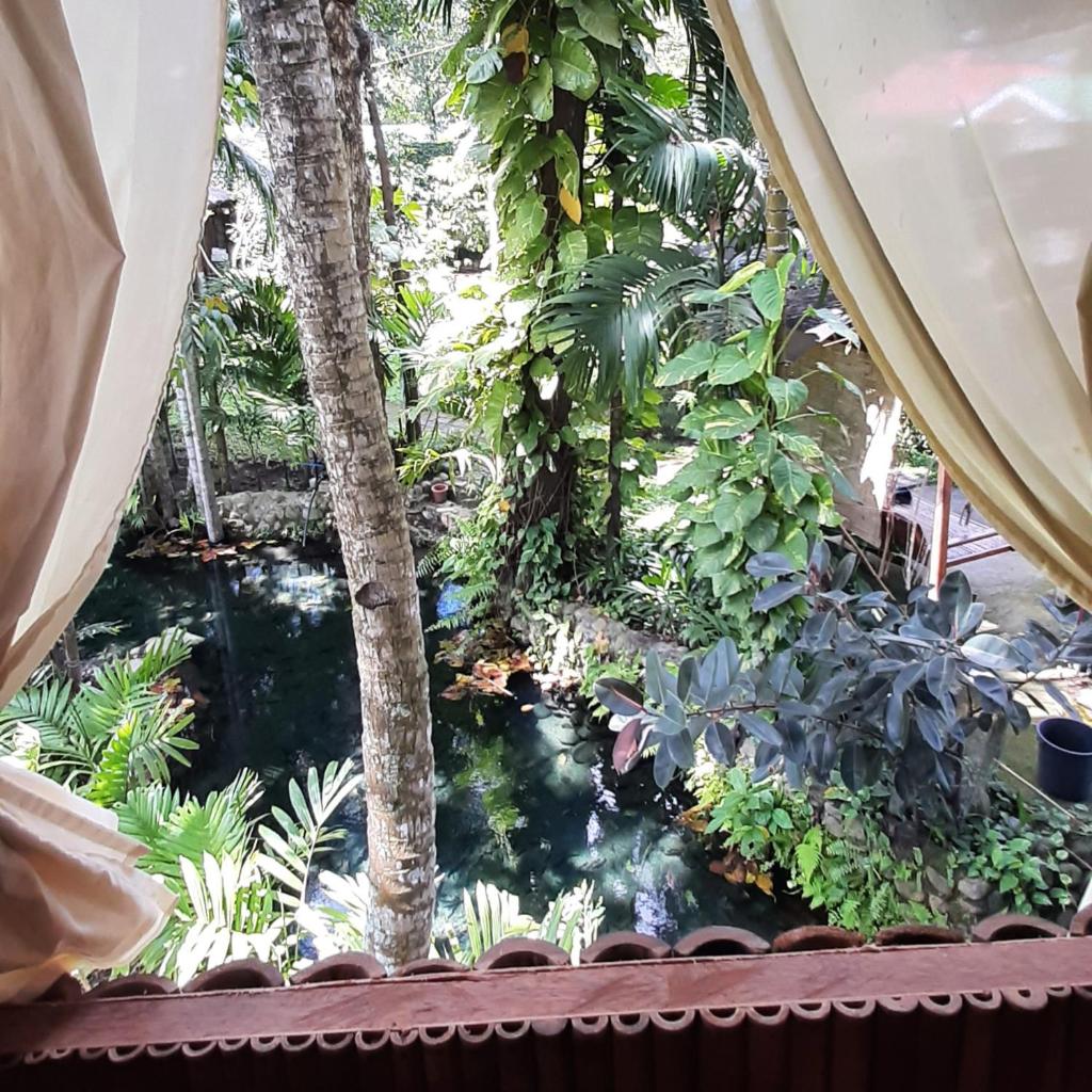 Dumaguete Treehouse photo 2