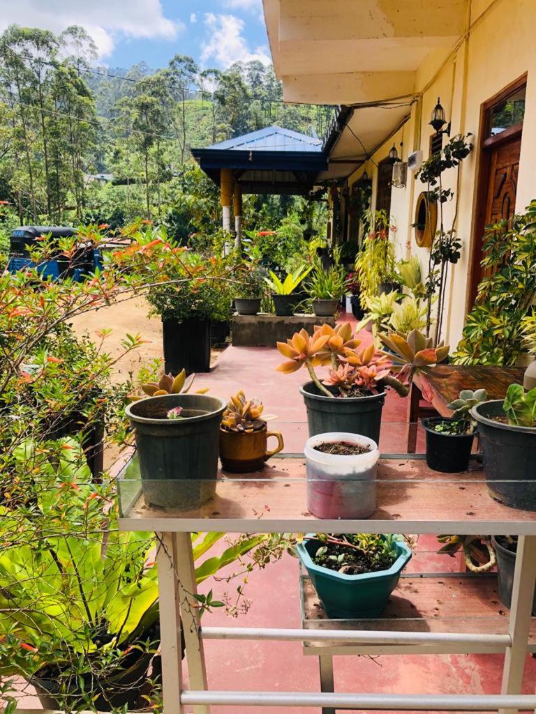 Vegetable Garden House photo 3