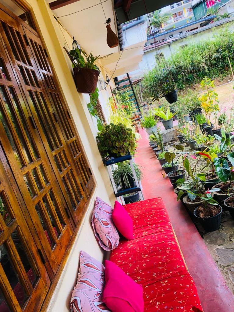 Vegetable Garden House photo 2
