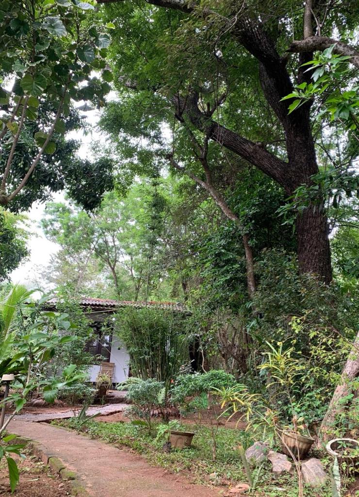 Manju Homestay photo 4