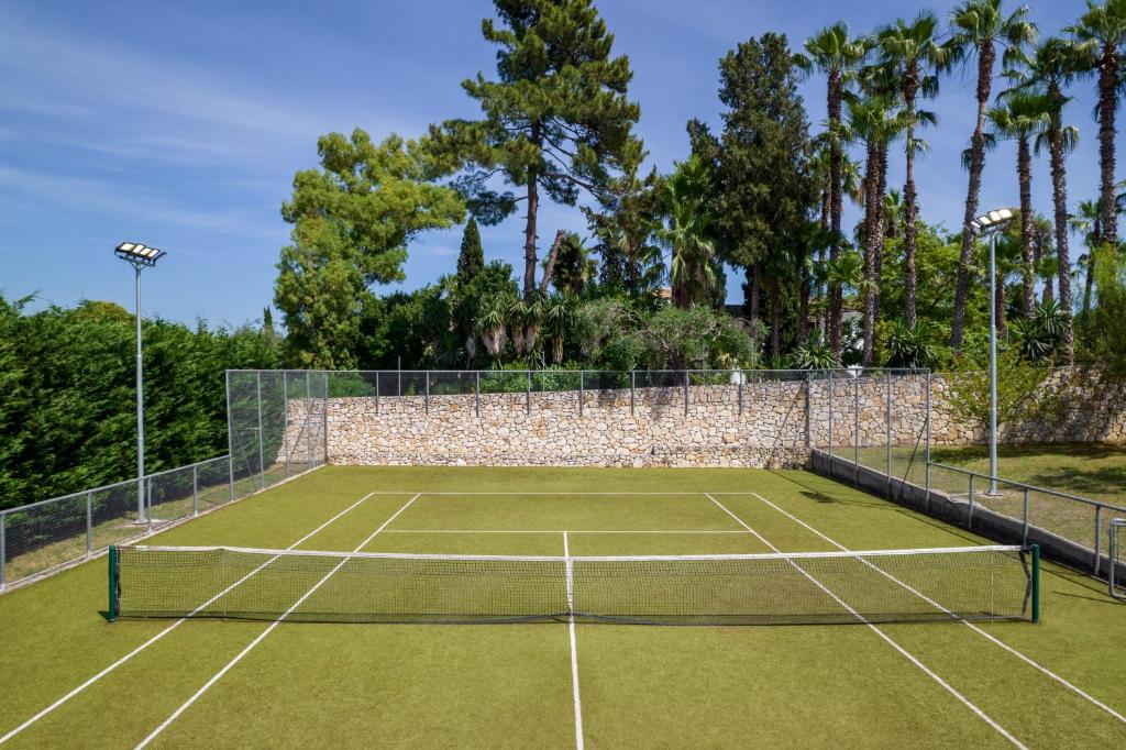 Villa Alpha photo 2