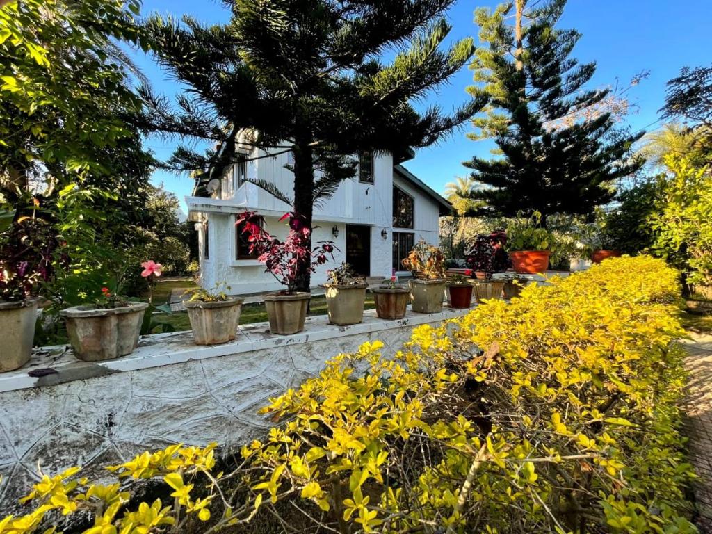 Mount Abu Sunset Villa photo 1