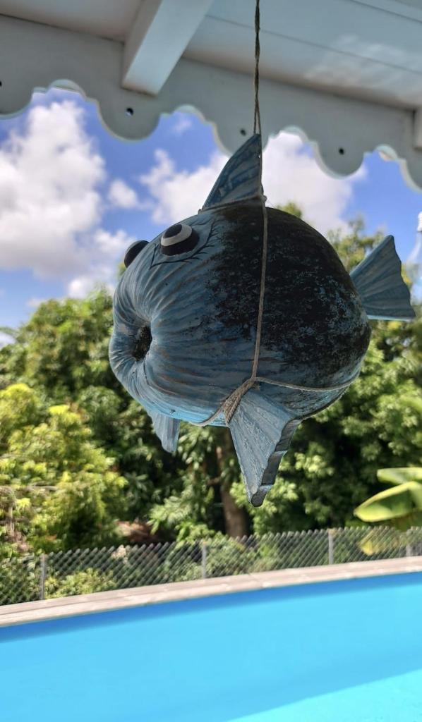 CHARMANT HAUT DE VILLA AVEC PISCINE PARTAGEE photo 2