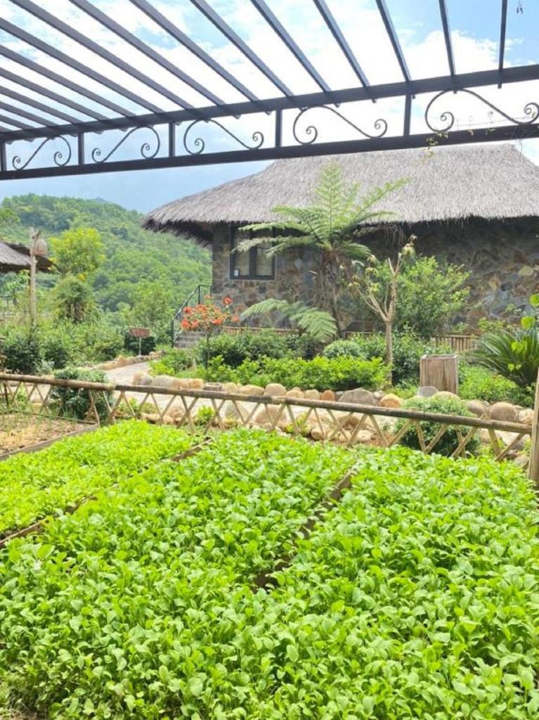 Mường Lò Retreat