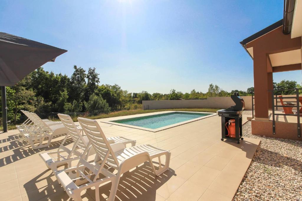 New beautiful villa with private pool in Istria photo 2