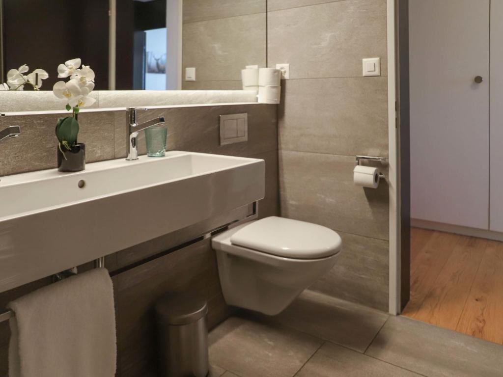 Apartment Allod Park Haus C 707 by Interhome photo 3