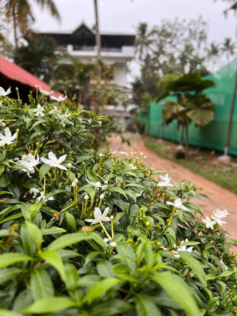 Varkala Resort photo 2