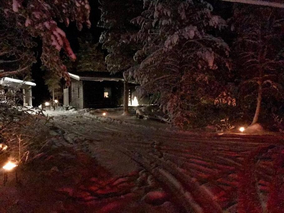 Villa Vilmala photo 1