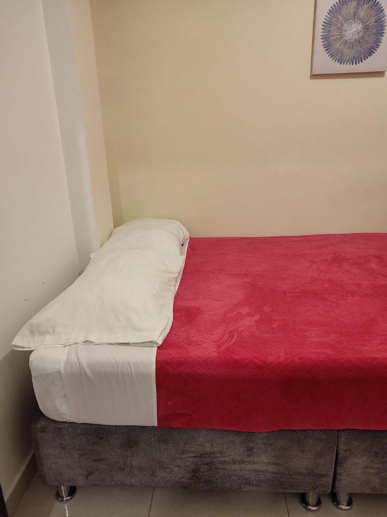 Apartamento cerca al Aeropuerto y Terminal 2 Hab photo 3
