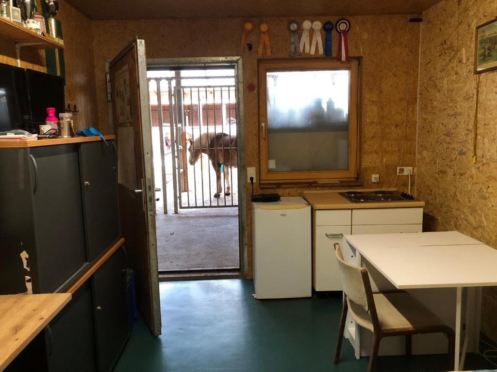 Reitschule Kronwitter photo 3