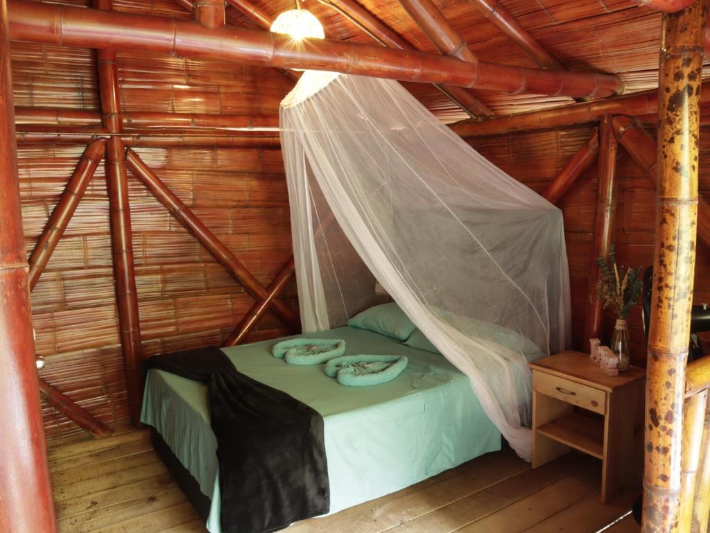 Glamping Río Claro photo 2