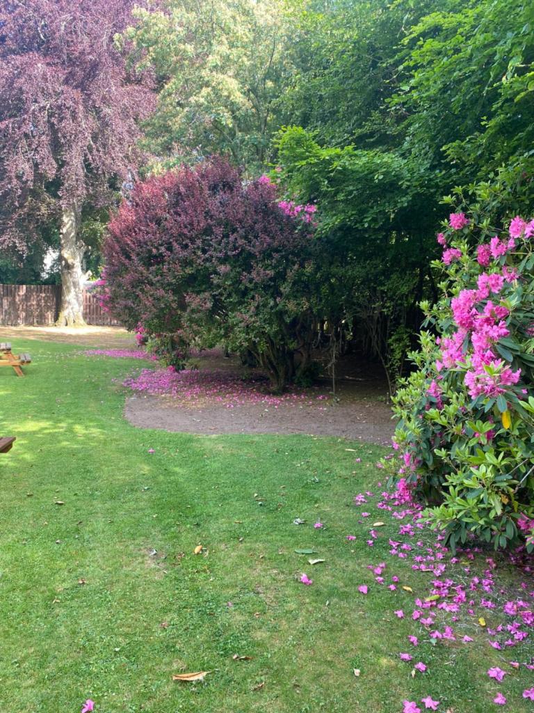 Bennachie Lodge Hotel in Kemnay photo 1