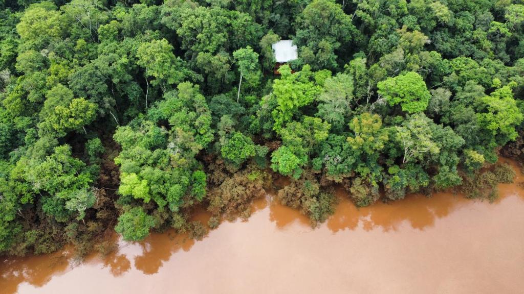 Rio de los pájaros.